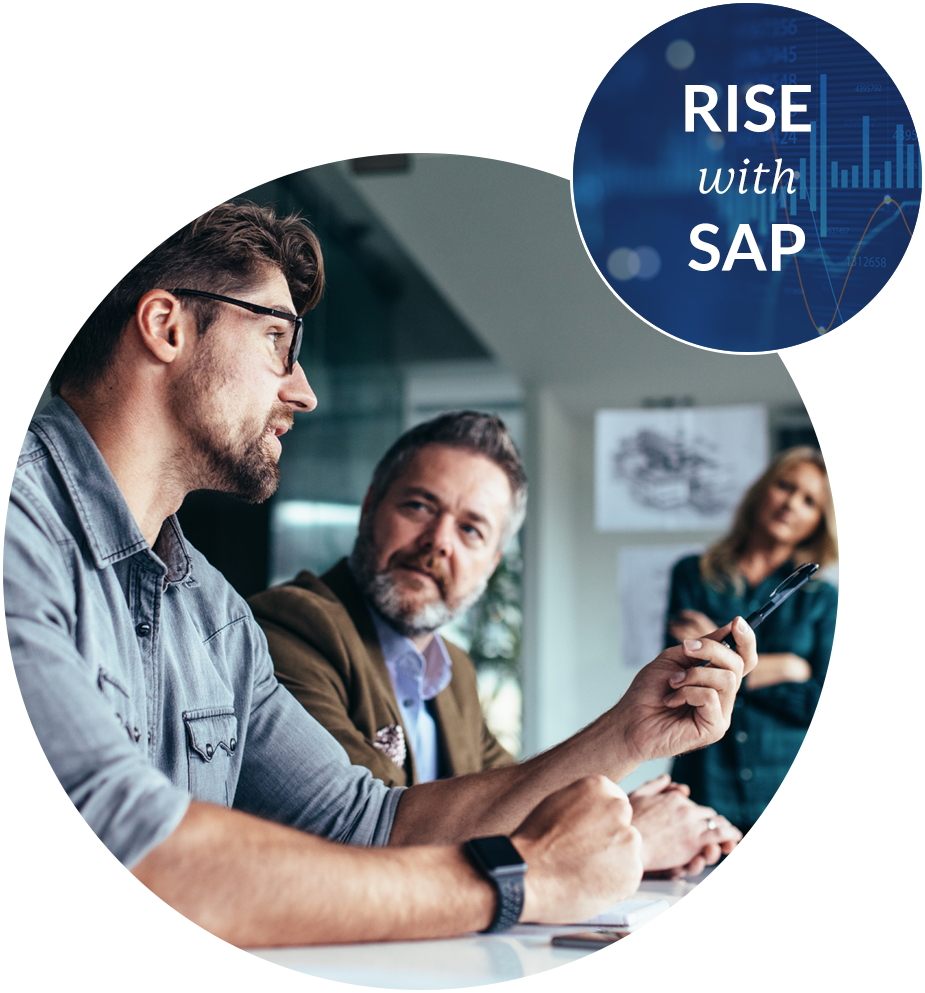 RISE with SAP strategy experts at work