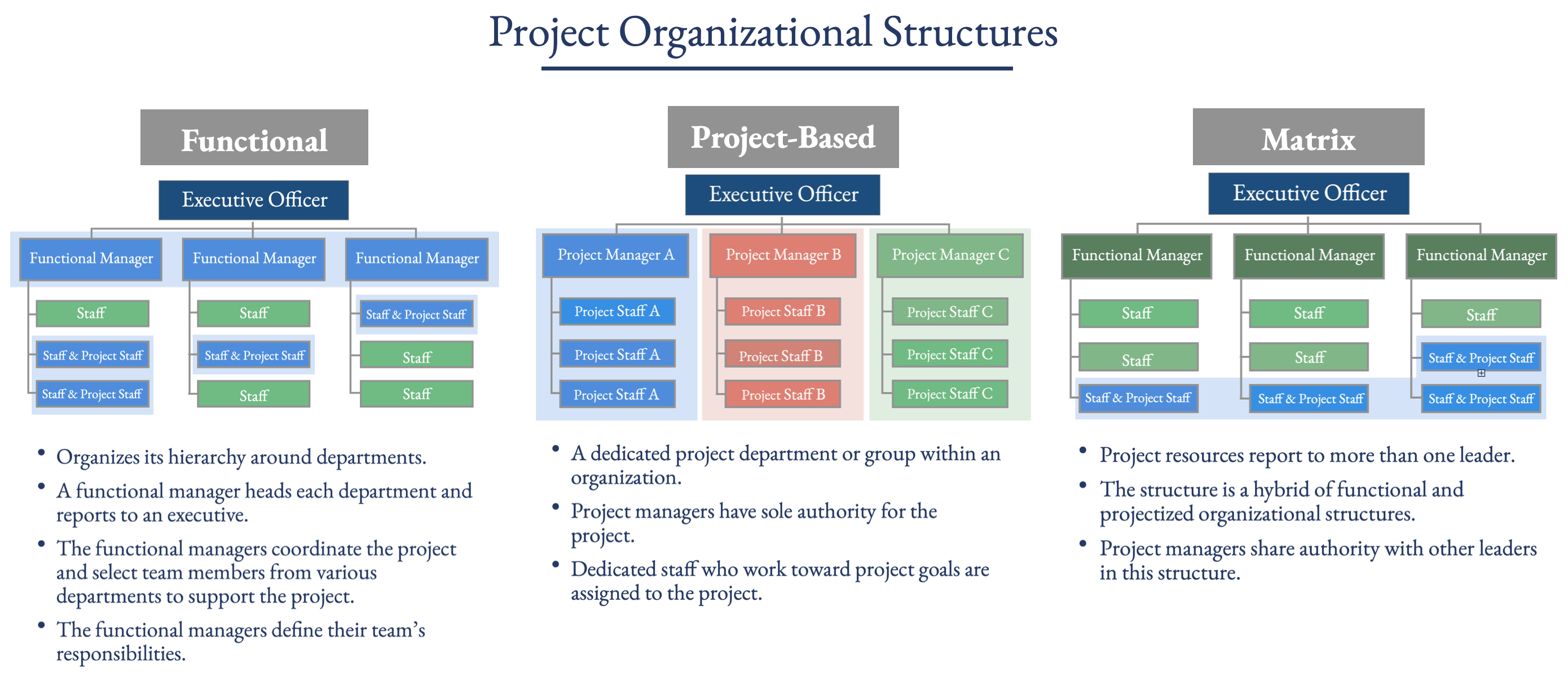 SAP Project Organizational Structures Chart
